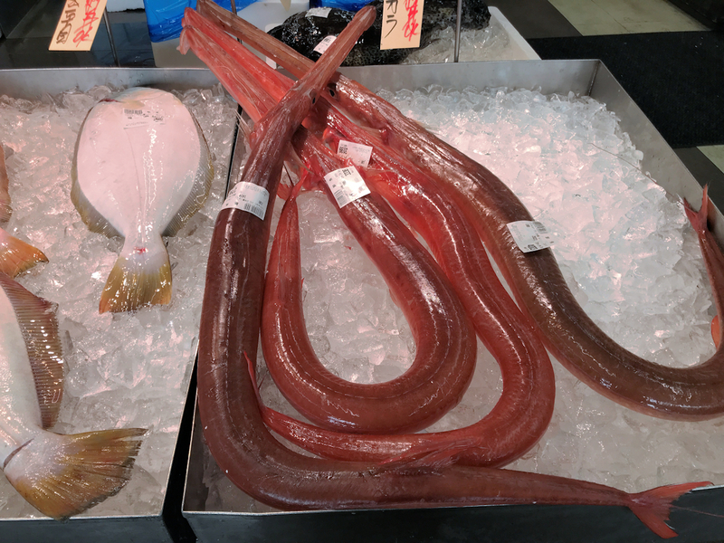 f:id:garadanikki:20200309115138j:plain