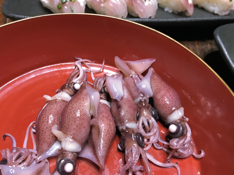 f:id:garadanikki:20200309202840j:plain