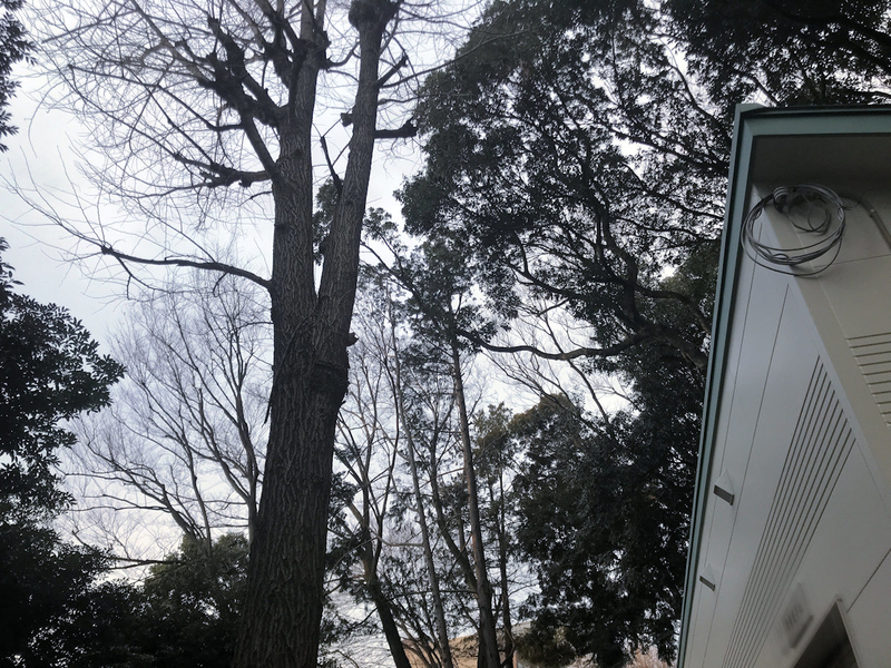 f:id:garadanikki:20200318112419j:plain
