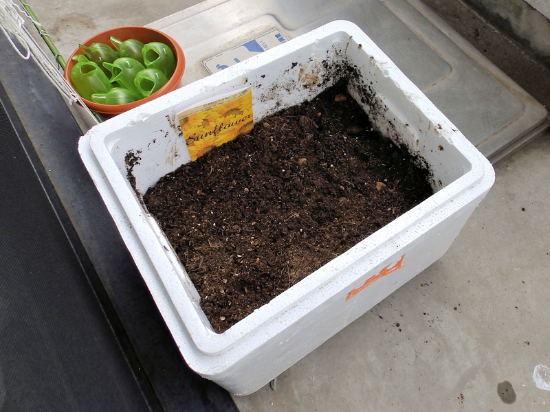 f:id:garadanikki:20200426121709j:plain