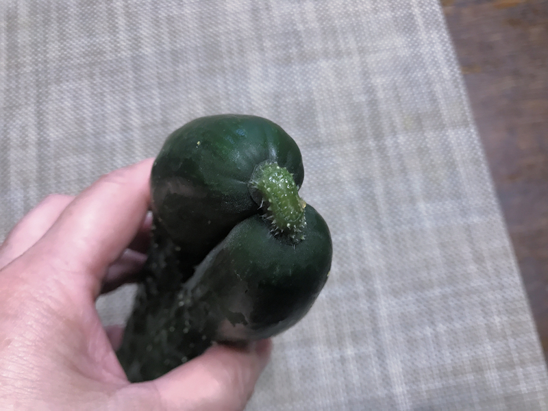 f:id:garadanikki:20200524130621j:plain