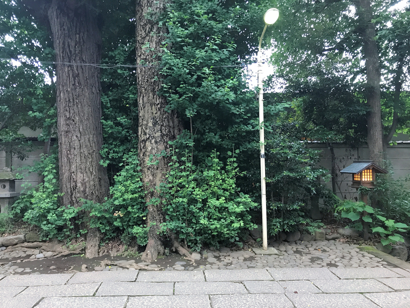 f:id:garadanikki:20200629141940j:plain