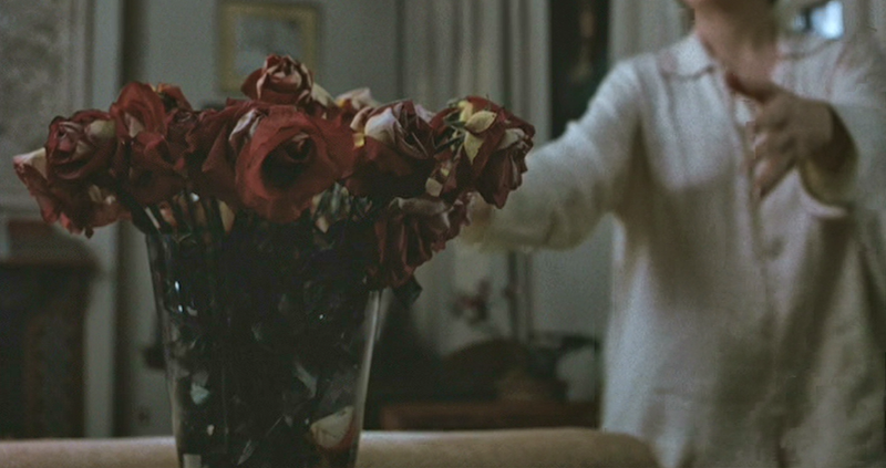 f:id:garadanikki:20200810121541p:plain f:id:garadanikki:20200810121541p:plain