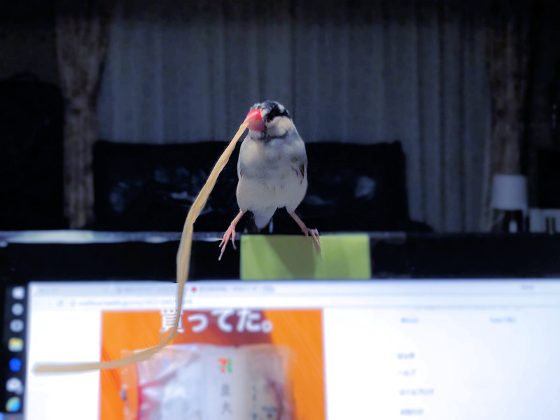 f:id:garadanikki:20200817172541j:plain