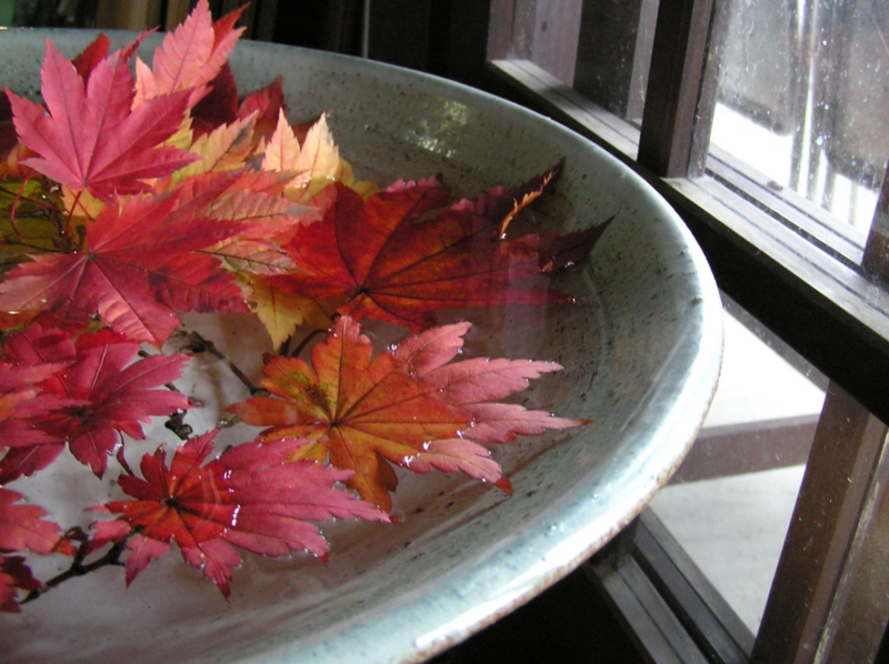 f:id:garadanikki:20201112153158j:plain
