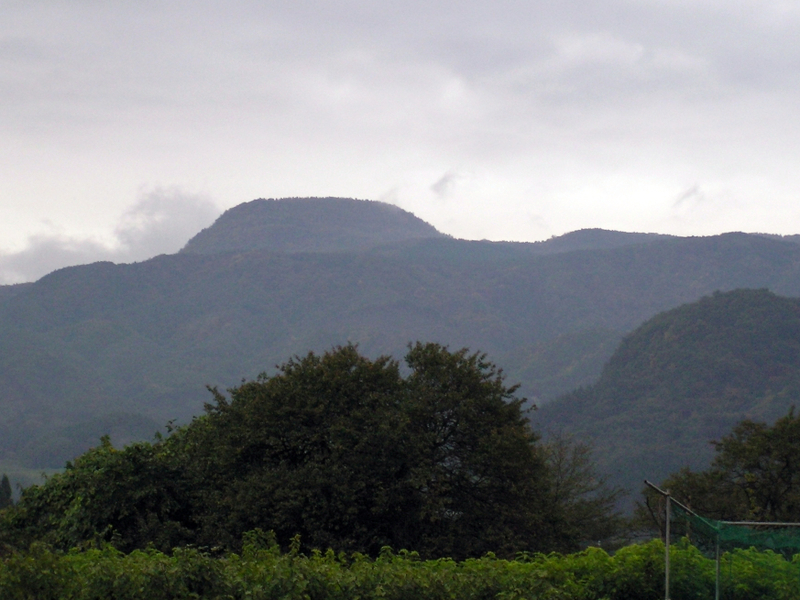 f:id:garadanikki:20201112153219j:plain