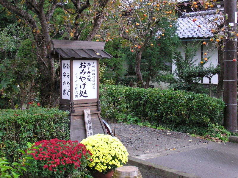 f:id:garadanikki:20201112153229j:plain