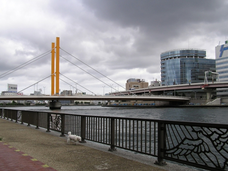 f:id:garadanikki:20201124114112j:plain