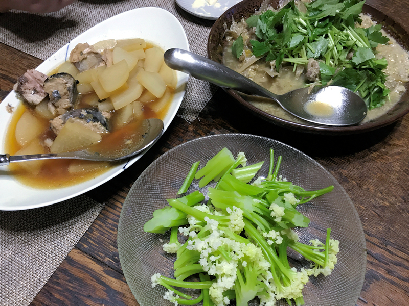 f:id:garadanikki:20201204174833j:plain
