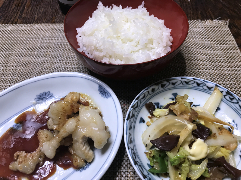 f:id:garadanikki:20201223181527j:plain