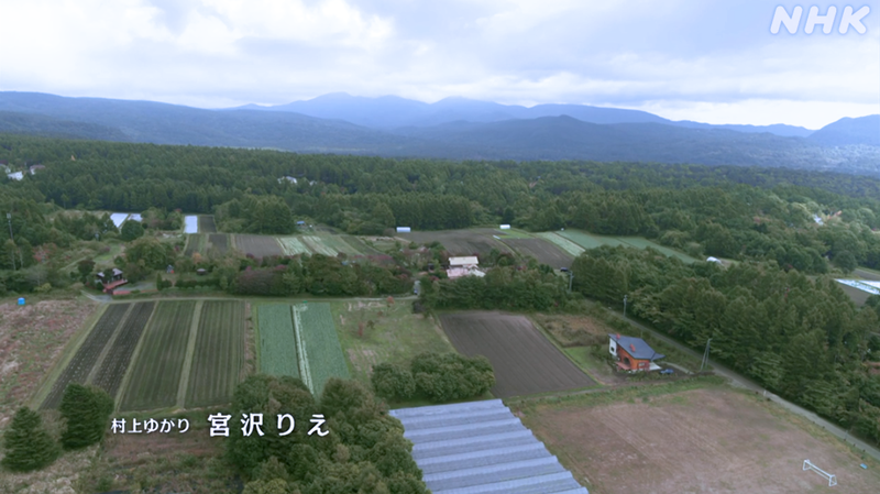 f:id:garadanikki:20201226120528p:plain