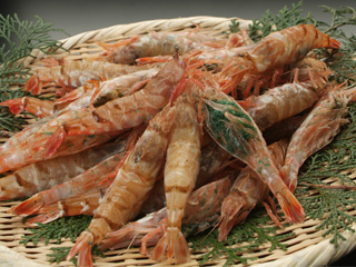 f:id:garadanikki:20210103164428j:plain