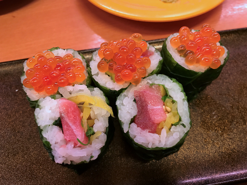 f:id:garadanikki:20210208143607j:plain