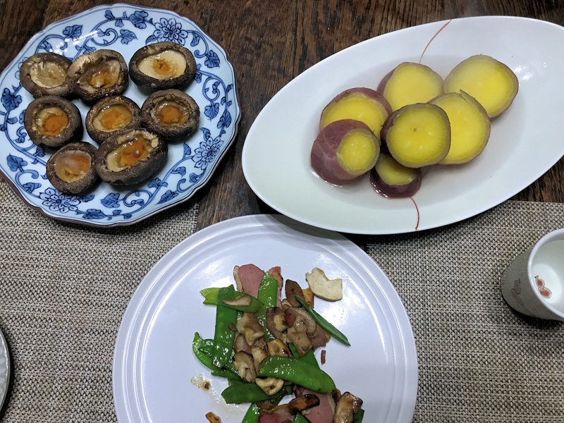 f:id:garadanikki:20210208203658j:plain