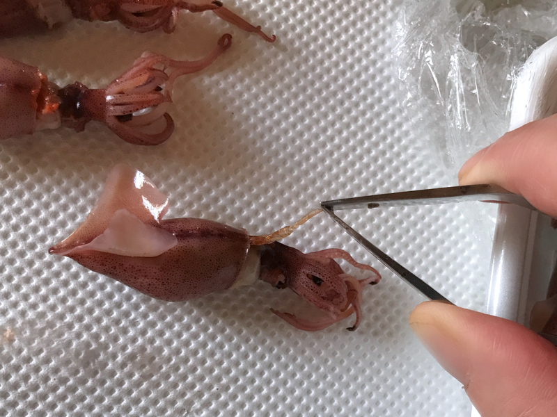 f:id:garadanikki:20210408160456j:plain