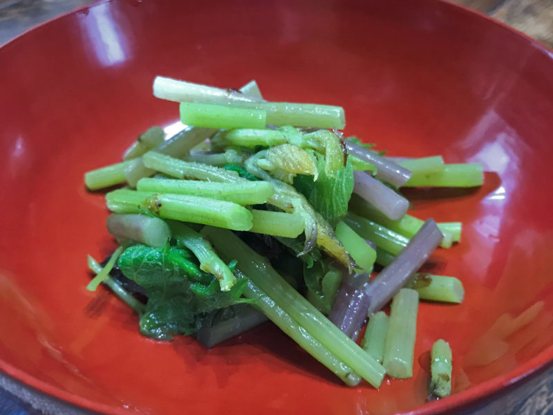 f:id:garadanikki:20210408164845j:plain