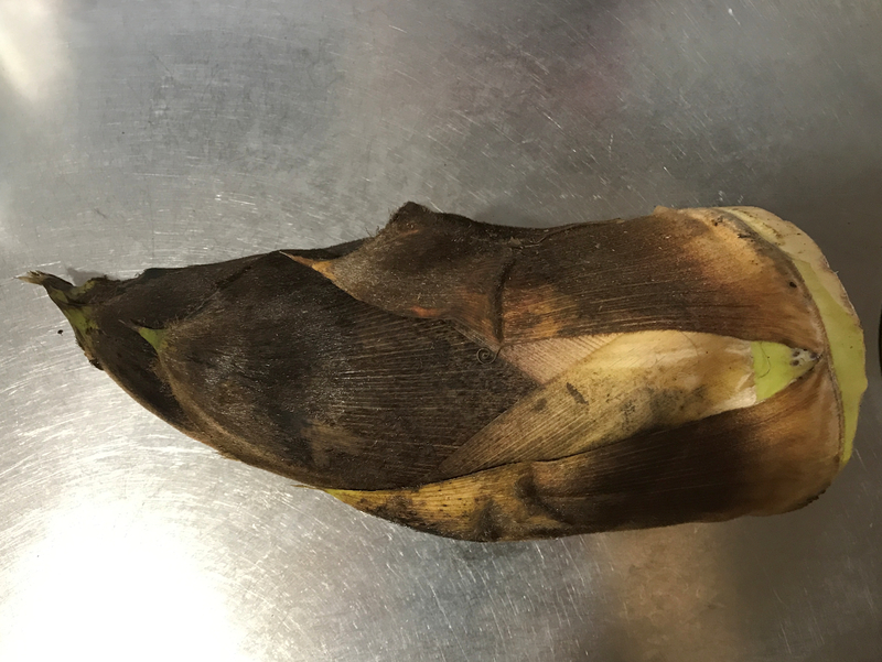 f:id:garadanikki:20210409141256j:plain