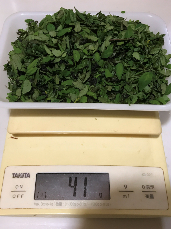 f:id:garadanikki:20210414221236j:plain