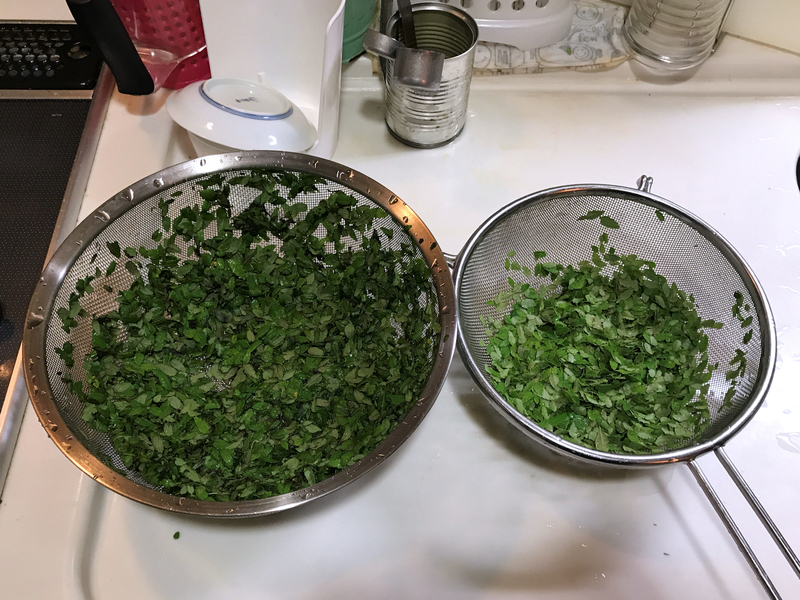 f:id:garadanikki:20210414221744j:plain