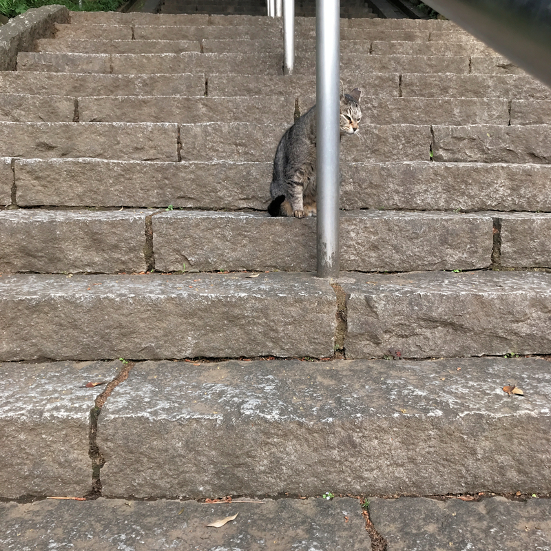 f:id:garadanikki:20210514160214j:plain