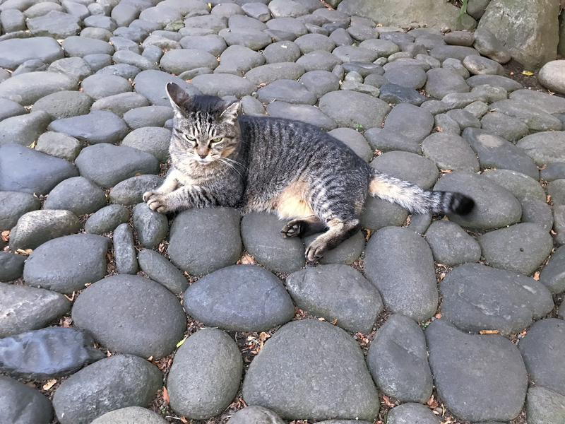 f:id:garadanikki:20210514174204j:plain