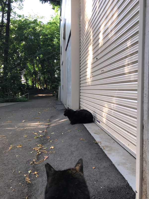 f:id:garadanikki:20210515164356j:plain