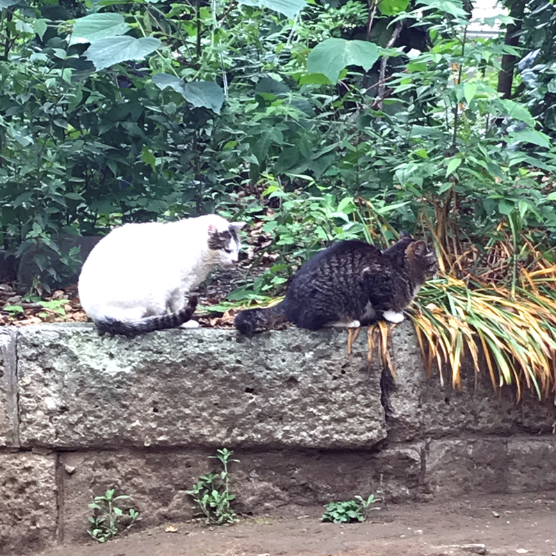 f:id:garadanikki:20210516105527j:plain