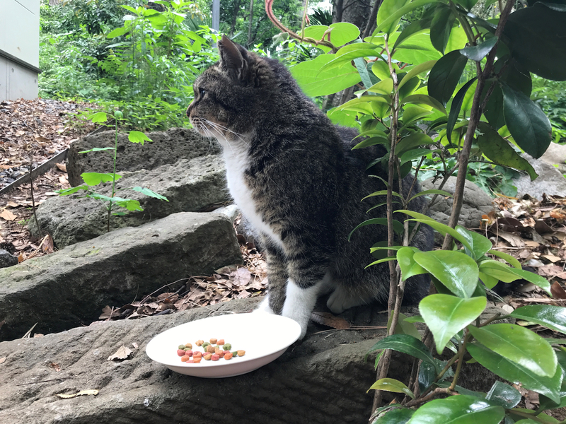 f:id:garadanikki:20210516112430j:plain