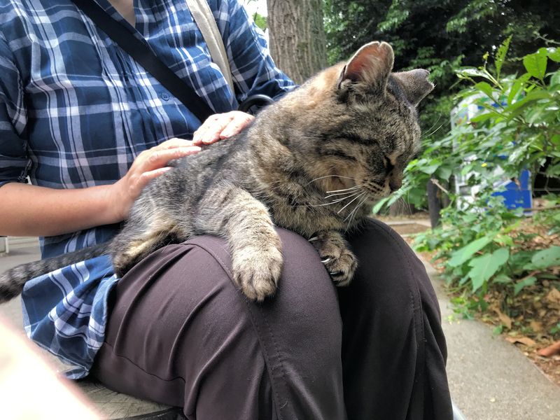 f:id:garadanikki:20210516115521j:plain