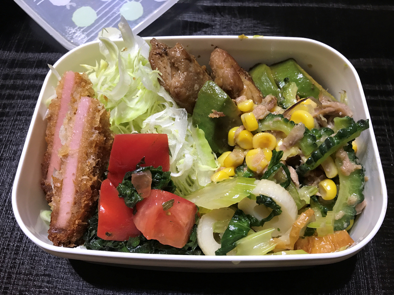 f:id:garadanikki:20210516194745j:plain