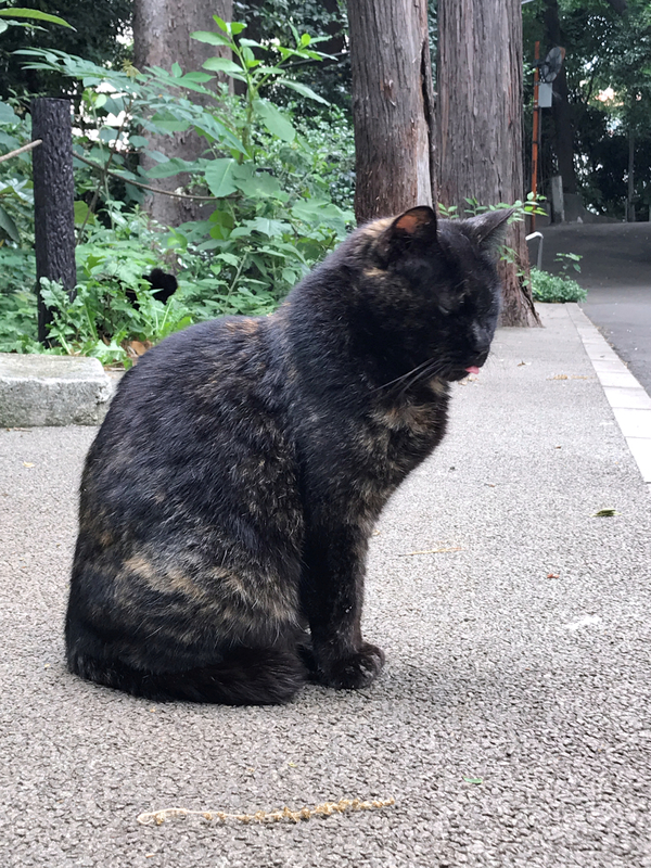 f:id:garadanikki:20210517143411j:plain