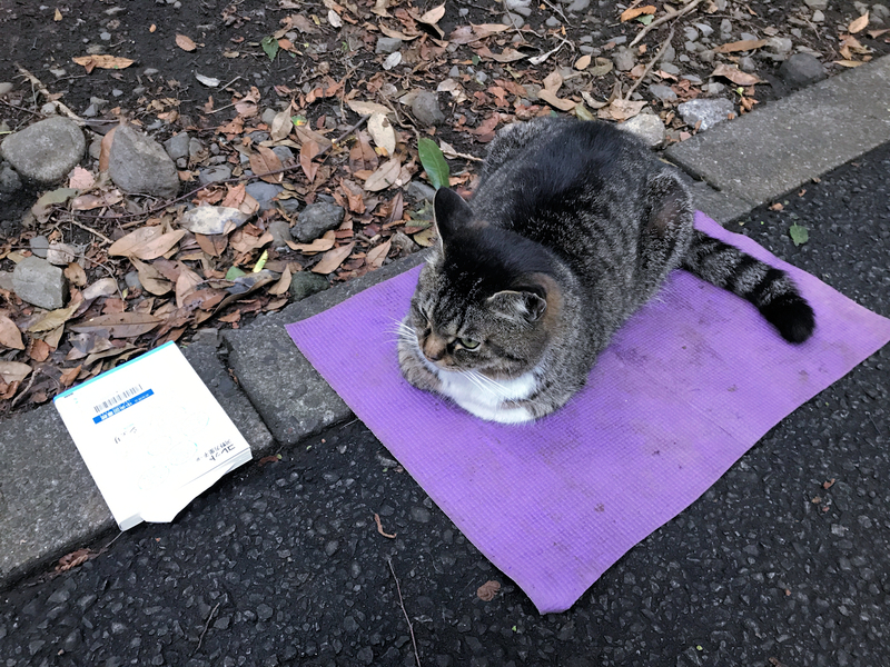 f:id:garadanikki:20210522155952j:plain