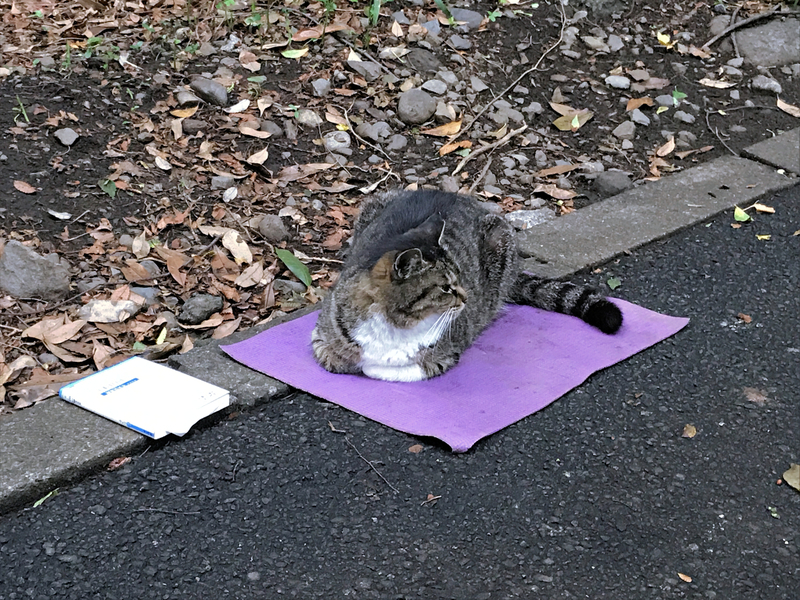 f:id:garadanikki:20210522160003j:plain