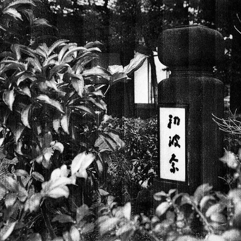 f:id:garadanikki:20210624125343j:plain