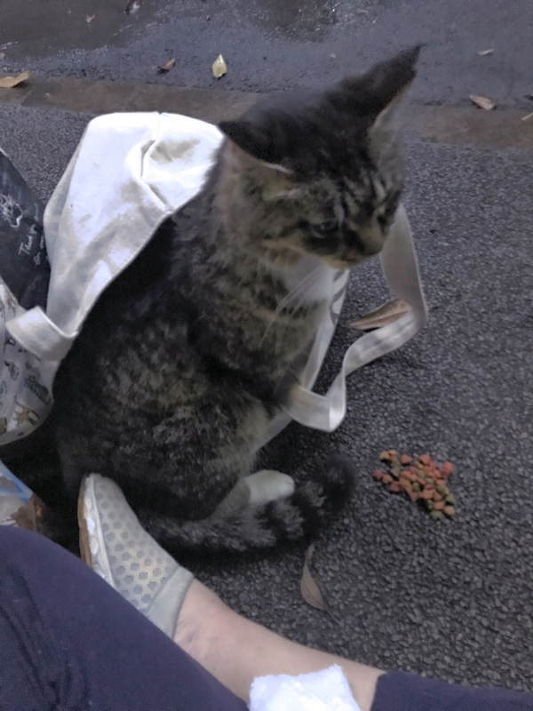 f:id:garadanikki:20210629183903j:plain