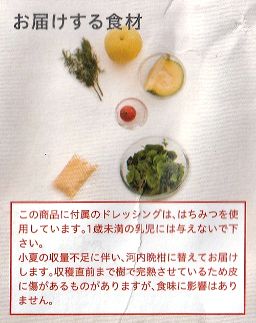f:id:garadanikki:20210705101024j:plain