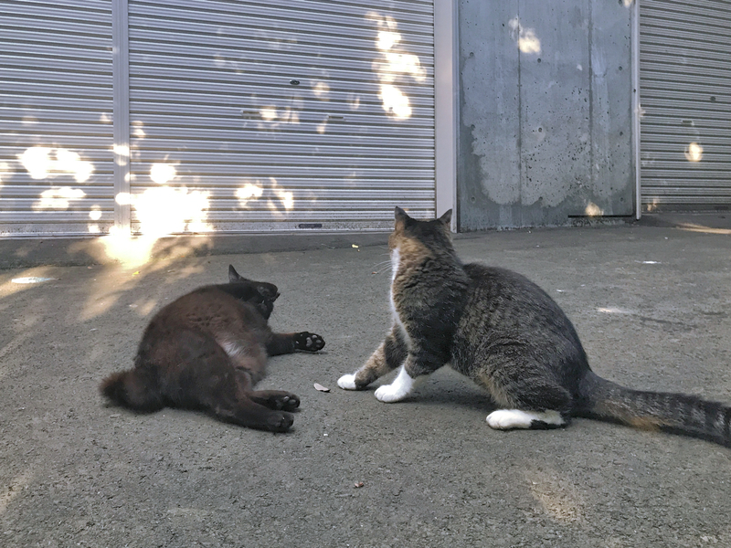 f:id:garadanikki:20210715180211j:plain