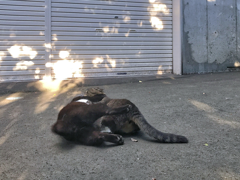 f:id:garadanikki:20210715180219j:plain