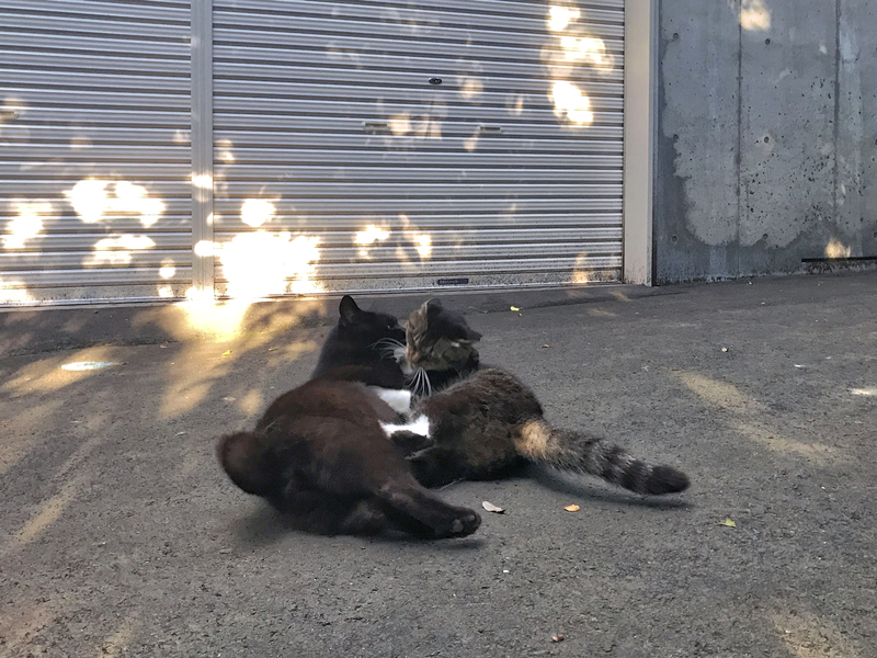 f:id:garadanikki:20210715180220j:plain