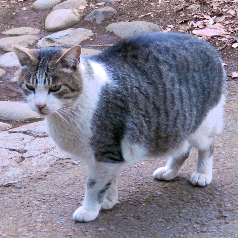 f:id:garadanikki:20210719181601j:plain