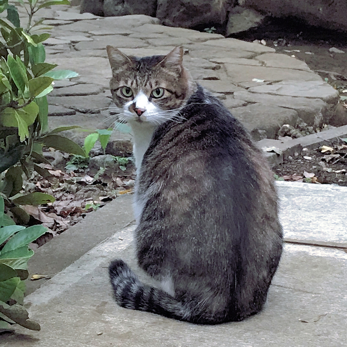 f:id:garadanikki:20210719182737j:plain