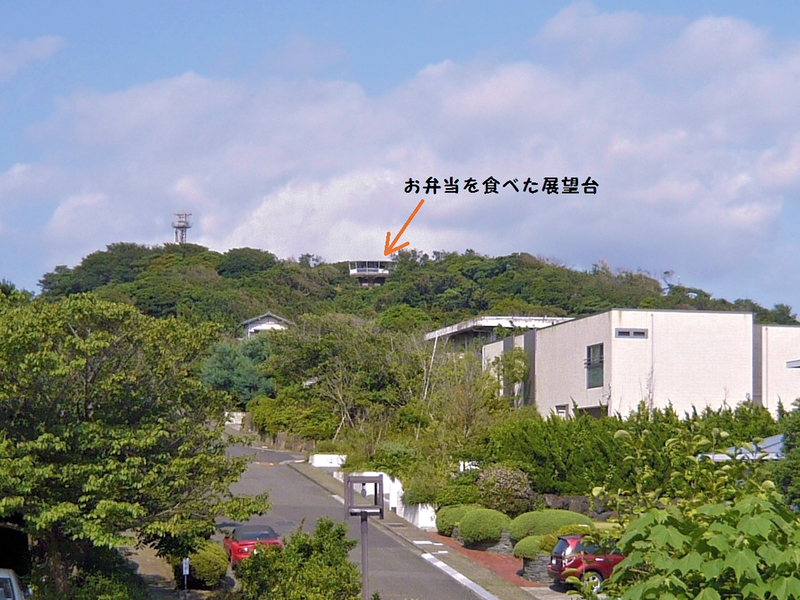 f:id:garadanikki:20210802141458j:plain