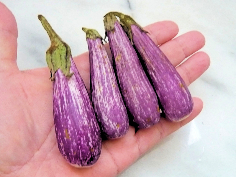 恵比寿 茄子 置物　なすびをもったえびす様 新潟直送計画】糸魚川産なす 越の丸茄子 – JAえちご上越 ひすい