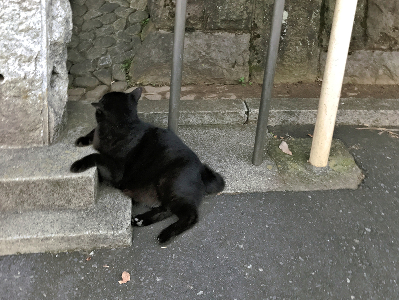 f:id:garadanikki:20210823180511j:plain