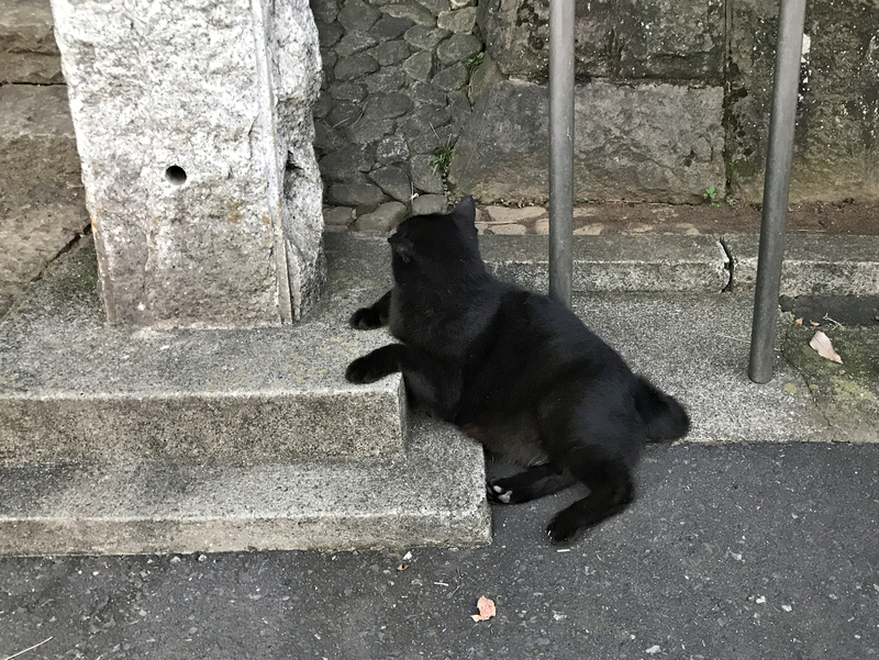 f:id:garadanikki:20210823180517j:plain