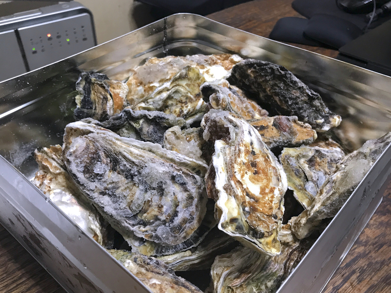 f:id:garadanikki:20210831162703j:plain