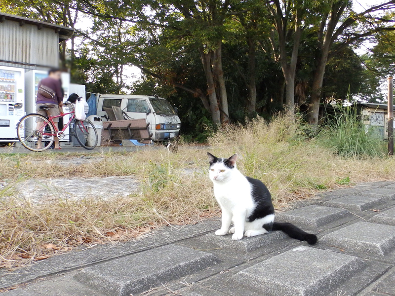 f:id:garadanikki:20211014155607j:plain