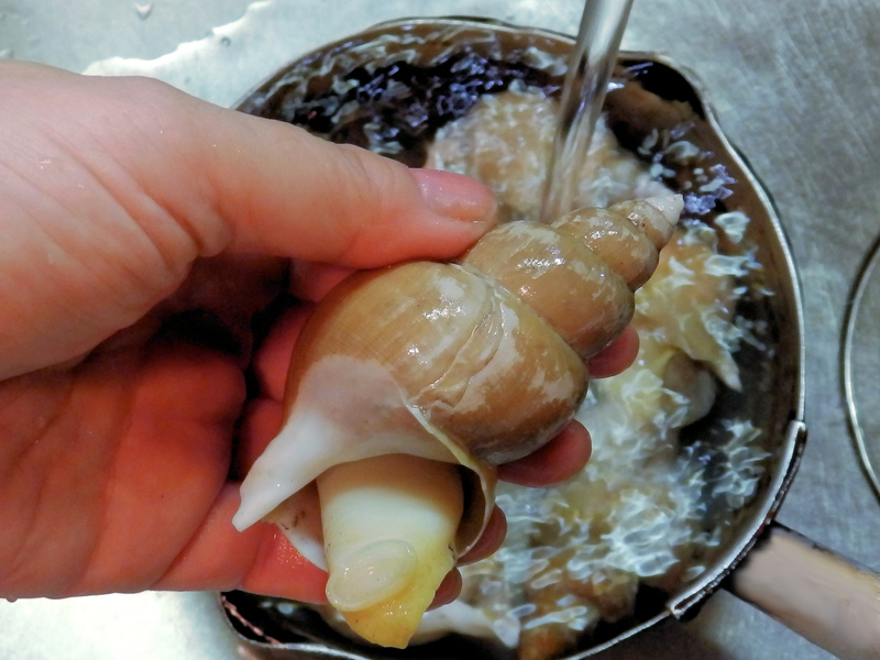 f:id:garadanikki:20211103123026j:plain