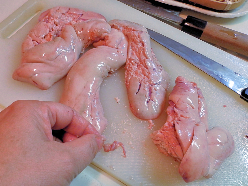 f:id:garadanikki:20211103123049j:plain