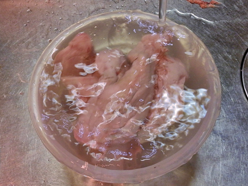 f:id:garadanikki:20211103123054j:plain